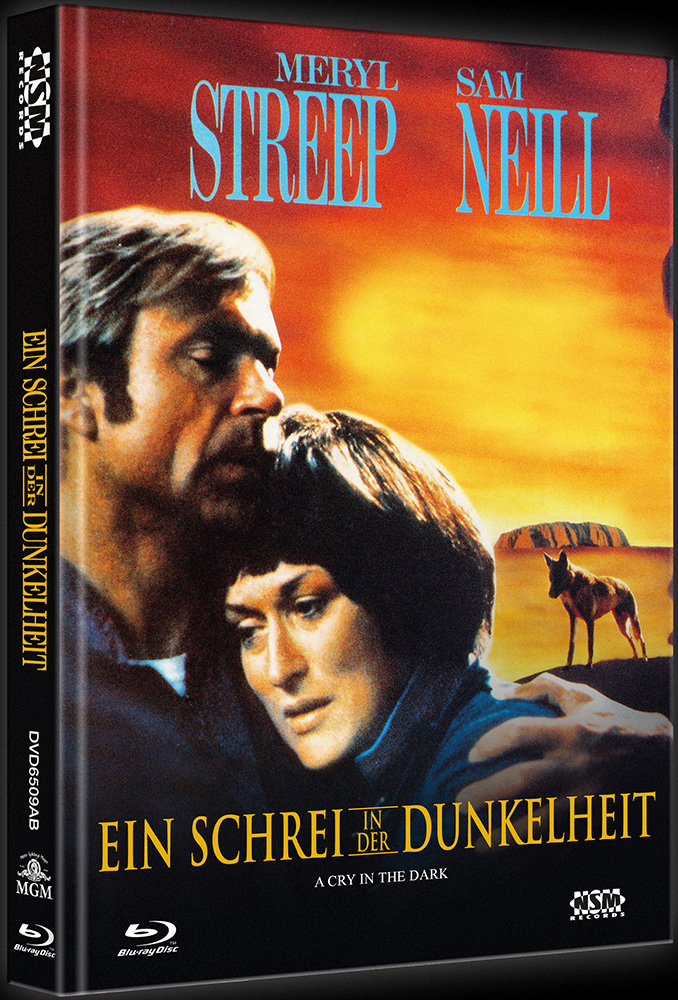 Ein Schrei in der Dunkelheit - Cover B - Mediabook 009/111