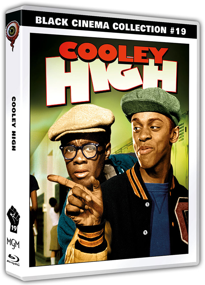 COOLEY HIGH (Blu-Ray+DVD) - Black Cinema Collection #19