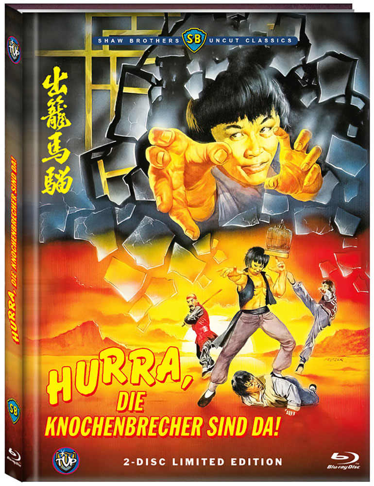 HURRA, DIE KNOCHENBRECHER SIND DA! (Blu-Ray+DVD) - Cover C - Mediabook - Limited 333 Edition