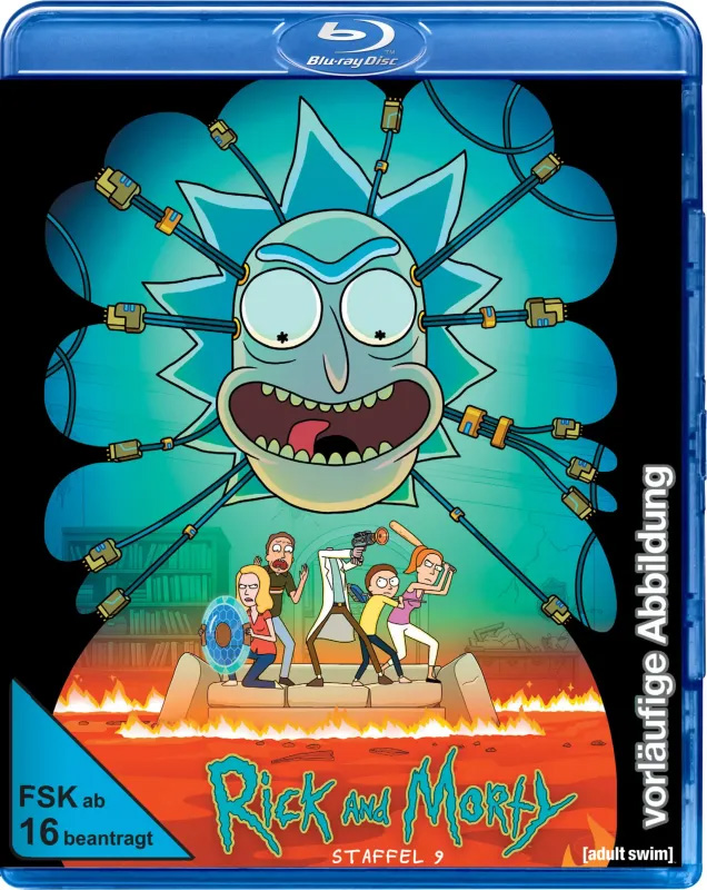RICK AND MORTY - Staffel 9 (Blu-Ray)