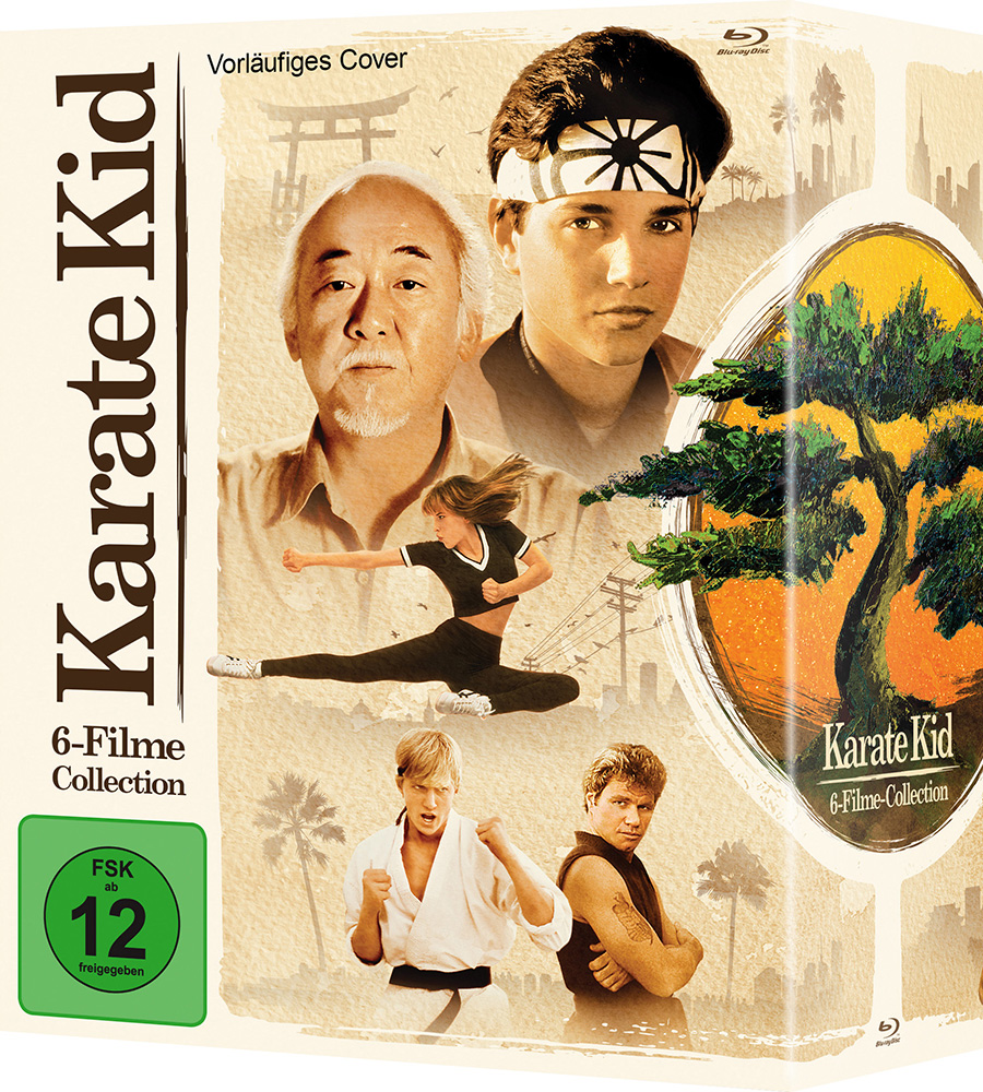 KARATE KID COLLECTION (Blu-Ray) (6Discs)