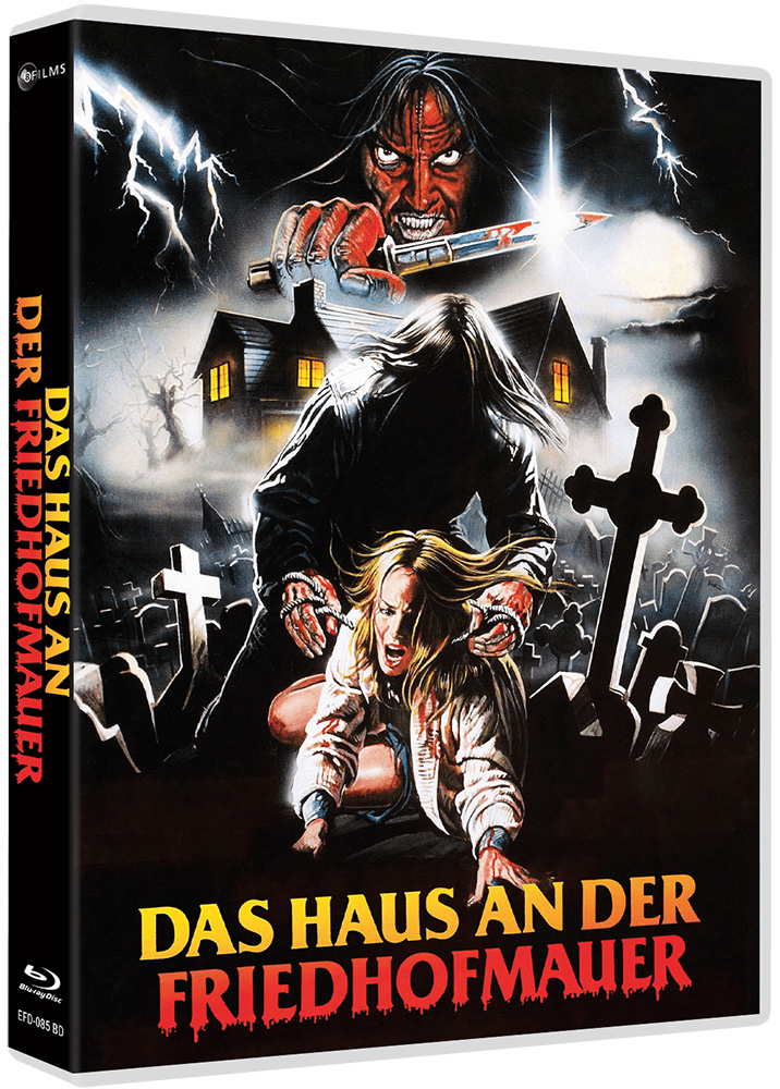 HAUS AN DER FRIEDHOFMAUER, DAS (Blu-Ray) - Limited 500 Edition
